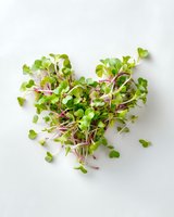 Fresh microgreens arranged in heart shape on white background, showcasing vibrant green leaves and pink stems for healthy cooking and food styling.