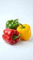 Three fresh bell peppers in red, yellow, and green colors with water droplets on white background for culinary and healthy eating content.