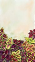 Colorful coleus plants with burgundy, yellow, and green foliage arranged along bottom border on soft watercolor background. Suitable for garden design, botanical illustrations, and decorative layouts.