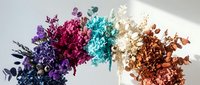 Colorful dried flower arrangement with purple, pink, turquoise, cream and orange preserved botanicals creating rainbow spectrum display for home decor.