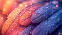 Macro feathers with water drops in orange and blue colors creating dreamy bokeh effect. Soft focus close-up shows delicate texture and light reflections.
