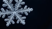 Macro close-up of intricate snowflake crystal structure showing detailed ice formations and delicate branching patterns on dark background for winter designs.