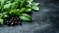 Fresh green basil leaves and black peppercorns on dark stone background with copy space. Natural aromatic herbs and spices for cooking.