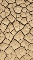 Cracked dry earth texture with deep fissures and parched soil surface, suitable for environmental, climate change, drought, and sustainability design projects.