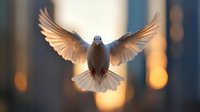 Majestic dove with spread wings flying towards camera against blurred warm sunset background, creating angelic silhouette with glowing feathers and peaceful expression.