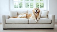 Happy Golden Retriever lying on comfortable beige couch in bright modern living room with large window, showing relaxed and friendly expression.