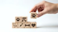 Hand placing wooden blocks with veterinary and pet care symbols including paw prints, stethoscope, syringe, bone and heart on white background.