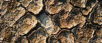 Cracked and parched earth texture showing severe drought conditions, with deep fissures and dried mud patterns suitable for environmental, climate change, and drought-related projects.
