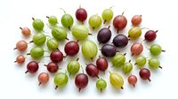 Assorted gooseberries in green, red, and purple varieties arranged on white background, isolated for culinary, food styling, and recipe design projects.