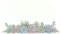 Watercolor succulent border with pastel green and purple plants arranged in decorative row on white background for botanical design projects.