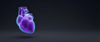 Anatomical human heart model with purple and blue gradient colors on dark background for medical education and healthcare presentations.