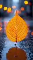 Golden autumn leaf standing upright on wet surface with orange bokeh lights in background, dramatic nature macro photography with reflection and rain drops.