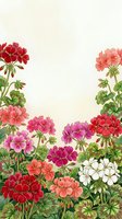Colorful geranium flowers frame with pink, red, purple and white blooms on cream background. Floral border design for greeting cards and invitations.