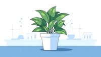 Green houseplant in white pot with lush foliage against modern office interior background for home decor and workspace design concepts.