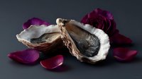 Empty oyster shell with scattered dark red rose petals on black background, dramatic lighting creates contrast between white shell interior and dark surroundings.