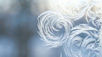 Delicate white frost crystals forming intricate swirling patterns on glass surface during winter morning with soft blue background for seasonal design projects.
