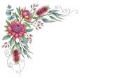 Watercolor floral corner border with pink protea flowers, eucalyptus leaves and decorative swirls on white background for wedding invitations and greeting cards.