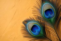 Vibrant peacock feathers displaying iridescent blue eyespots against warm orange textured background, creating striking natural contrast and elegant composition.