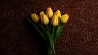 Yellow tulip bouquet with fresh green stems arranged on dark brown textured geometric pattern background, creating elegant contrast for floral design and decoration.