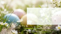Colorful Easter eggs nestled in fresh spring grass with delicate white flowers and soft natural lighting for holiday celebrations and seasonal decorations.