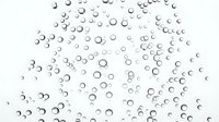 Realistic water bubbles rising on a white background, isolated for design use in beverage, spa, and aquatic themed projects.