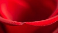 Abstract red curved surface with smooth gradient lighting creating depth and dimensional flow for modern design backgrounds.