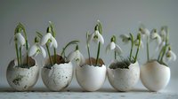 Delicate snowdrops growing in white eggshells arranged in row, spring garden decoration concept showing natural growth and rebirth symbolism on light background.