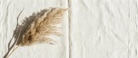 Dried pampas grass plume on white linen fabric background creating minimalist natural decor composition for interior design and home styling projects.