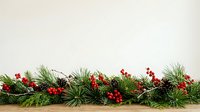 Red flowers and green ornamental grasses arranged in a decorative border against neutral background, suitable for seasonal displays and landscaping projects.