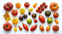 Colorful assortment of fresh heirloom and cherry tomatoes in various sizes and colors isolated on white background for healthy cooking and garden harvest.