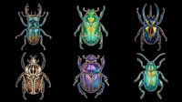 Six colorful metallic beetles isolated on transparent background, ready for stickers, t-shirt design, print on demand, sublimation, and clipart projects.