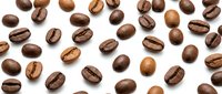 Roasted coffee beans scattered on white background. Fresh arabica beans with natural cracks isolated for cafe menu, packaging design and beverage branding.
