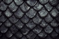 Dark metallic scales arranged in overlapping pattern creating dramatic textured surface with rough, weathered appearance and shadowy depth. Suitable for fantasy designs.