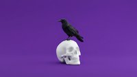 Black crow perched on white skull against vibrant purple background, symbolizing mortality, darkness, and gothic themes for creative design projects.