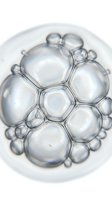 Transparent soap bubbles of varying sizes clustered together on white background, showing iridescent reflections and light refraction through bubble membranes for cosmetic and wellness design use.