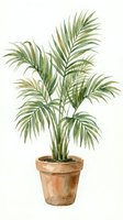 Watercolor illustration of potted palm plant with green feathery fronds in terracotta pot, isolated on white background for interior design and botanical artwork projects.