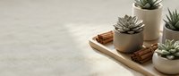 Minimalist spa arrangement with succulent plants in ceramic pots and cinnamon sticks on wooden tray creating zen wellness atmosphere for relaxation.
