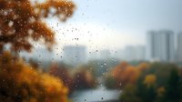 Autumn cityscape through wet window with rain drops, blurred urban buildings and colorful fall foliage in park. Moody atmospheric scene with bokeh effect.
