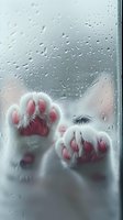 Cat paws pressed against wet window glass on rainy day, white fluffy fur and pink paw pads visible through droplets creating atmospheric mood.
