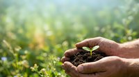 Hands holding seedling in soil with green field background, representing growth, sustainability, and environmental care for agriculture and eco-friendly concepts.
