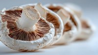 Fresh portobello mushrooms with exposed gills showing natural texture and organic patterns for culinary cooking and healthy food preparation.