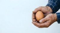 Mature male farmer with weathered hands holding fresh brown egg, isolated on white background for agricultural and food industry use.