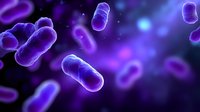 Glowing purple bacteria cells floating in dark space with blue light effects, microscopic view of microorganisms in scientific research environment.