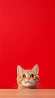 Curious ginger cat peeking over wooden surface against vibrant red background, looking up with wide eyes. Minimalist composition with copyspace.