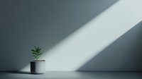 Small green plant in white ceramic pot against minimalist gray wall with dramatic diagonal sunbeam creating shadow and light contrast. Modern interior design concept.
