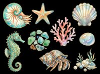 Watercolor ocean clipart set with seahorse, nautilus, starfish, shells, coral, sea glass, and hermit crab, isolated on transparent background, ready for stickers and t-shirt design.