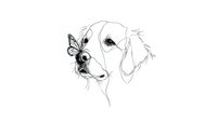Minimalist continuous line drawing of dog profile with butterfly on nose, artistic black and white sketch style on white background, isolated design element.