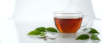 Glass cup of hot black tea with fresh green leaves on white background isolated for healthy beverage and wellness design projects.