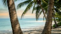 Tropical beach paradise with palm trees framing turquoise ocean waters and sandy shore at sunset for vacation and travel concepts.