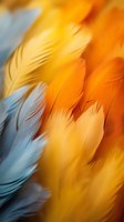 Vibrant blue, yellow and orange feathers in extreme close-up creating abstract natural texture pattern for creative design backgrounds.